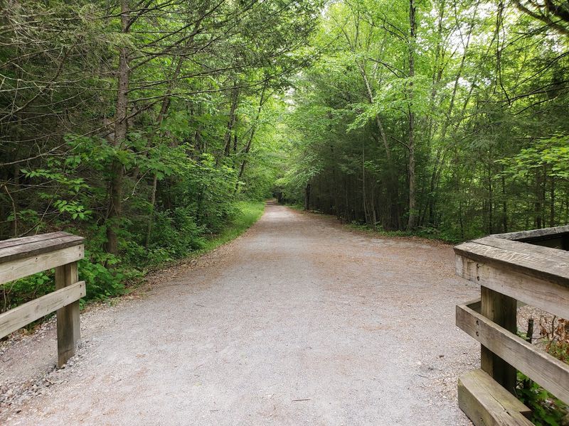 A Former Railroad Grade Now Carries Hikers And Cyclists Through The Gorge