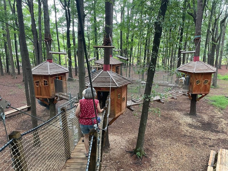 Thoughtful Design Respects The Natural Environment
