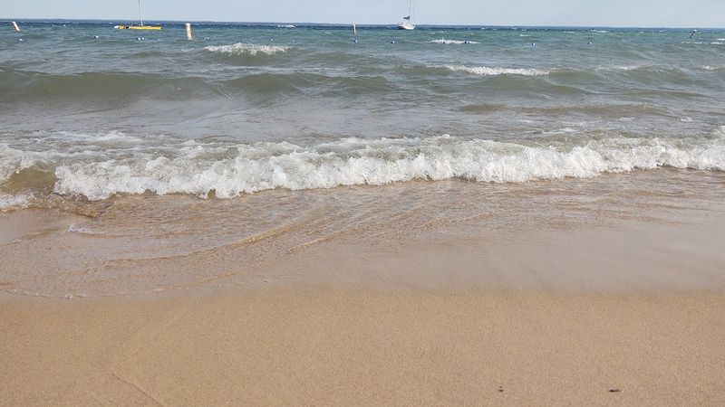 Dog-Friendly Policies Welcome Four-Legged Beach Companions