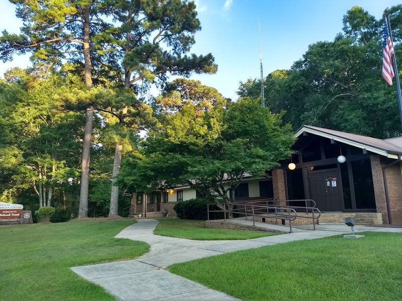 Clear Springs: The Forest's Refreshing Reward