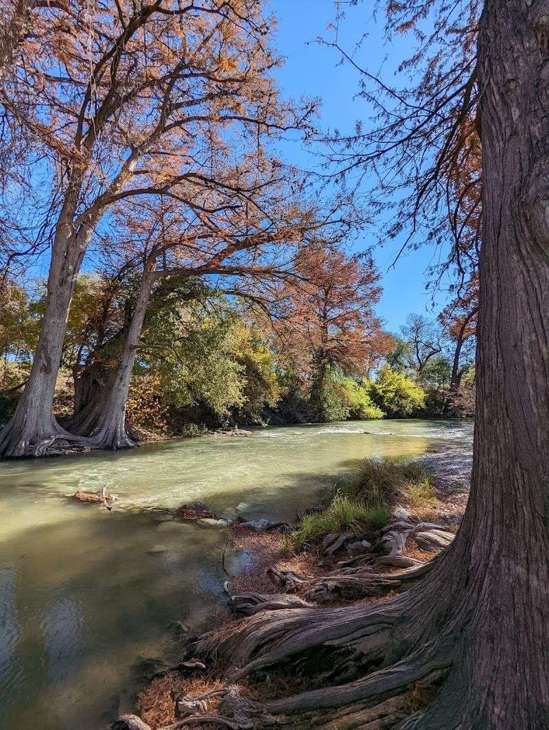 Twenty Five Quiet Acres Make This River Bend Feel Far Removed