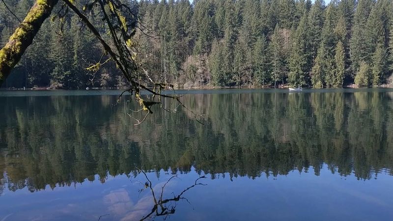 Spring-Fed Clarity That Locals Will Fight To Protect
