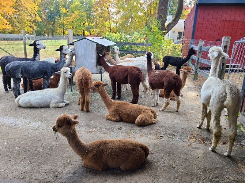 Farm Tours That Actually Let You In