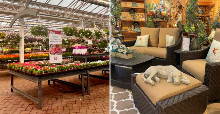 The Massive Garden Center In New York Where You Can Fill A Cart With Plants For $45