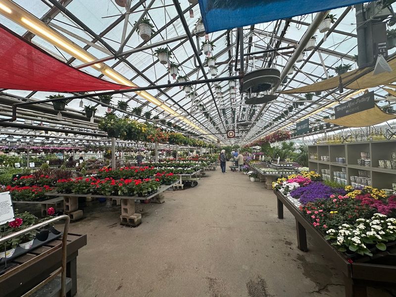 A Vast Green Expanse For Cultivators