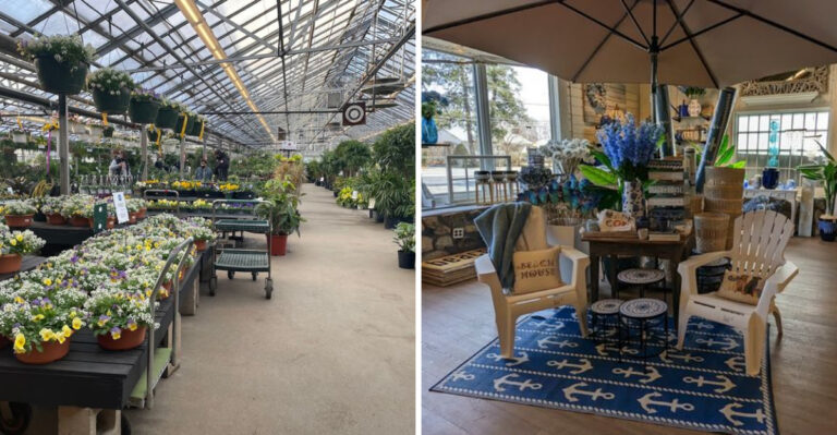 The Massive Massachusetts Garden Center Where You Can Get 10 Plants For $50 This Summer