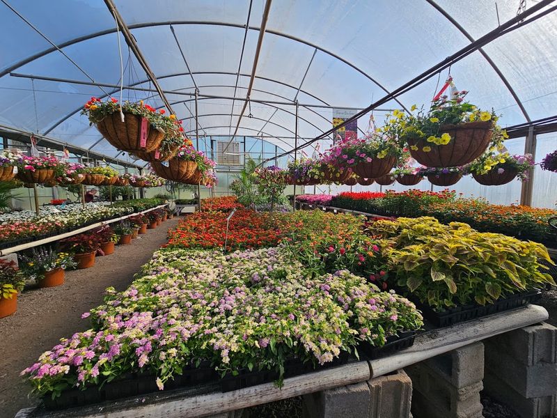 A Tennessee Landscape Comes To Life Around You