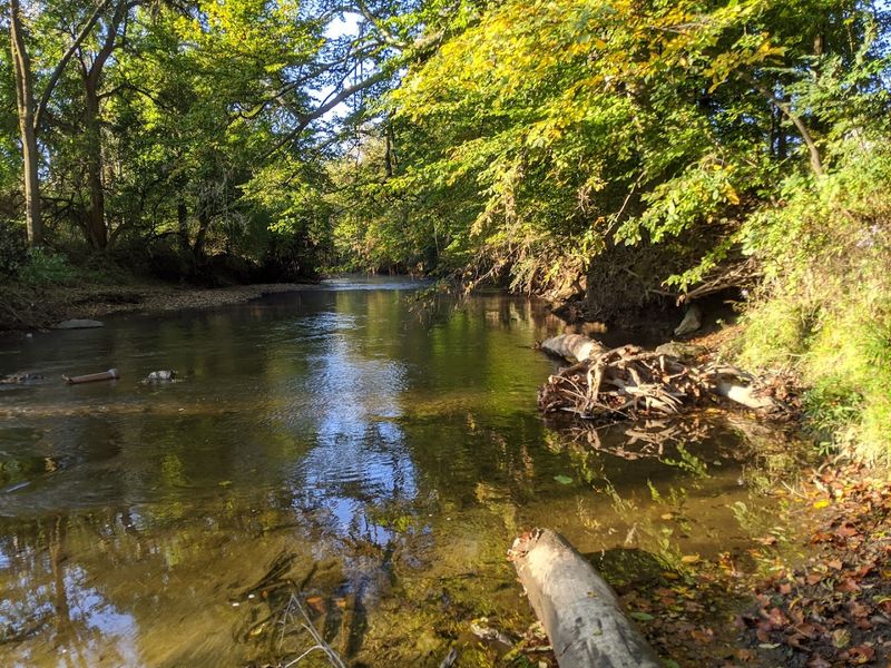 Millstone Pond Wildlife Watching