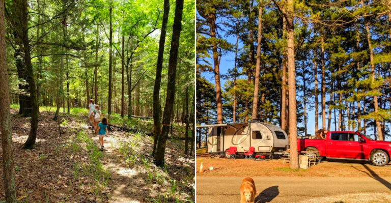 The Mississippi Narnia-Like Trail That Turns A Simple Family Hike Into A Magical Experience In 2026