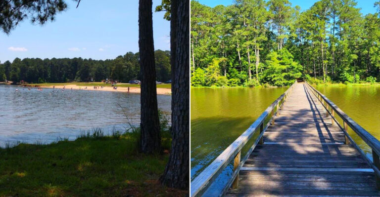 The Mississippi Paddle Boat Rental Where A Few Dollars Buys An Hour On The Lake In 2026