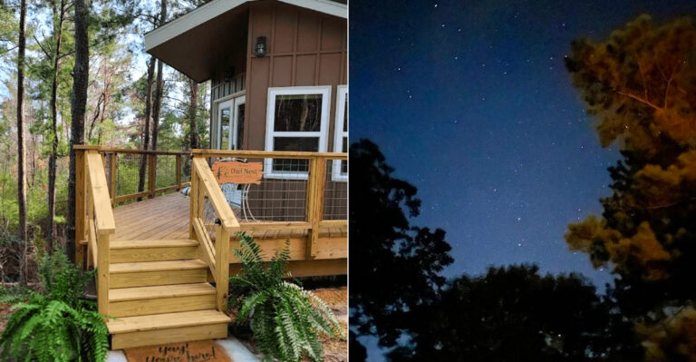 The Mississippi Pine Forest Treehouse Where Guests Say The Stargazing Make It Worth Every Mile In 2026