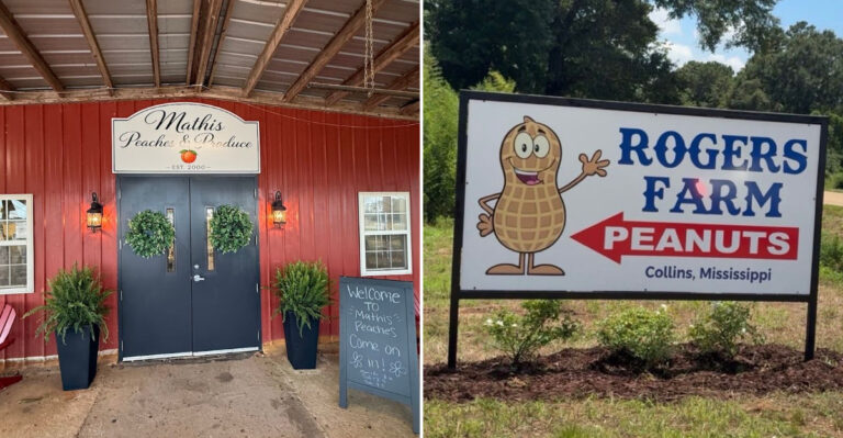The Mississippi Roadside Stands That Sell Fresh Boiled Peanuts And Local Produce The Old-Fashioned Way