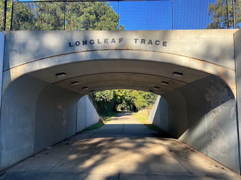 Diverse Trail Systems For All Skill Levels