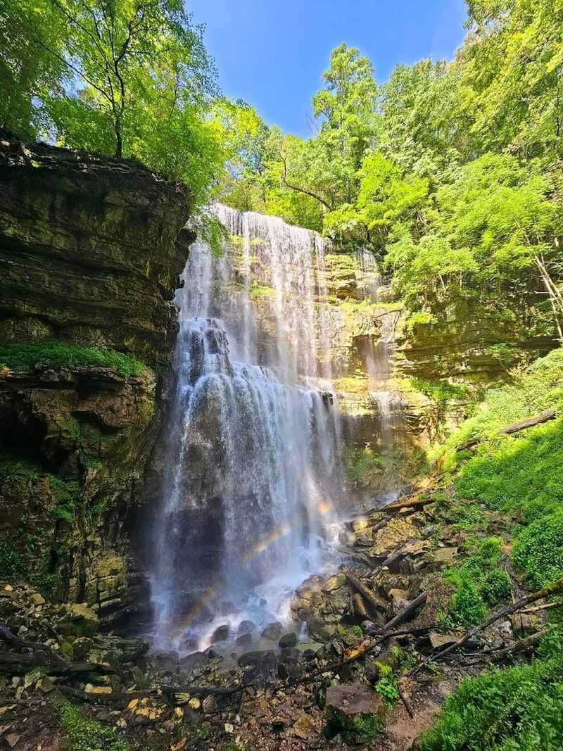 Scott's Gulf And The Landscape That Surrounds The Falls