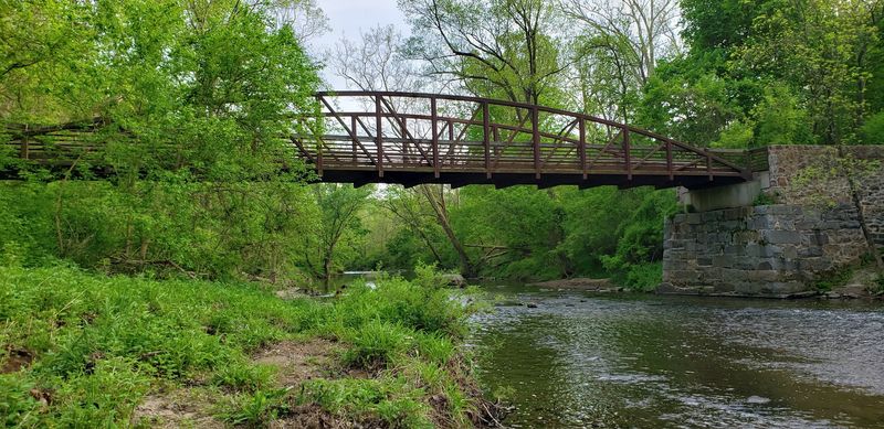 The Millstone Loop Trail Itself