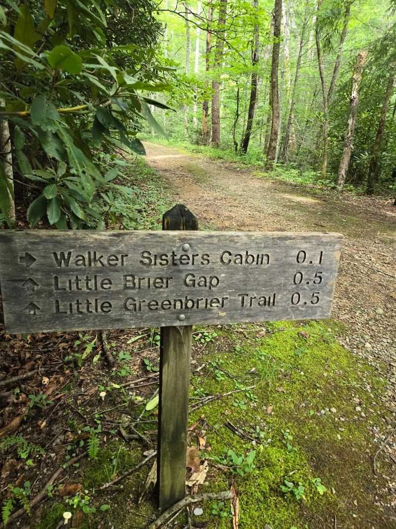 Little Brier Gap Trail To The Walker Sisters Cabin, Townsend