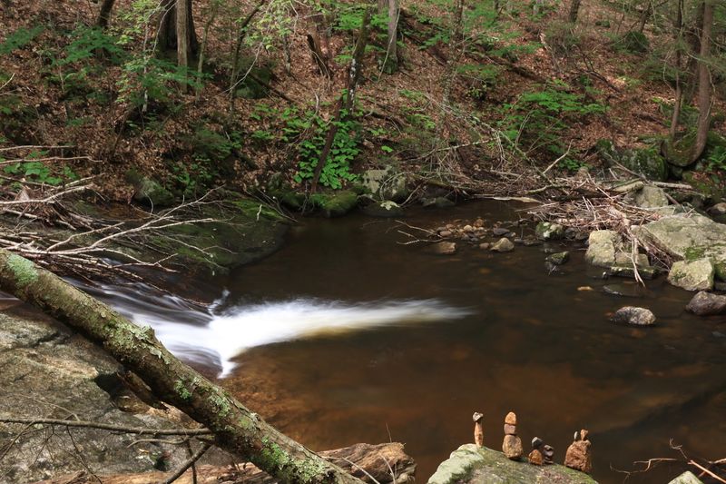 Short Trail, Big Reward