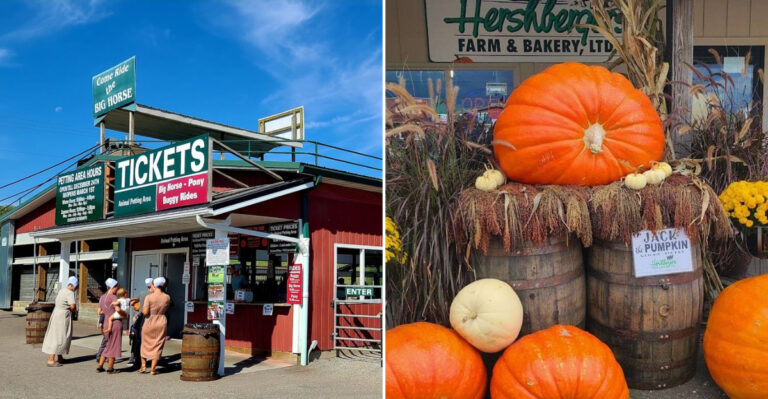 The Ohio Country Store Where Homemade Bread Meets Unique Amish Goods
