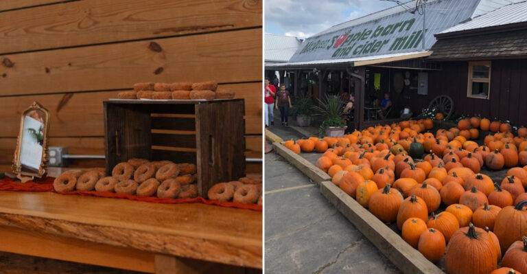 The Ohio Farm Market Where Donuts And Homemade Pies Are The Main Event