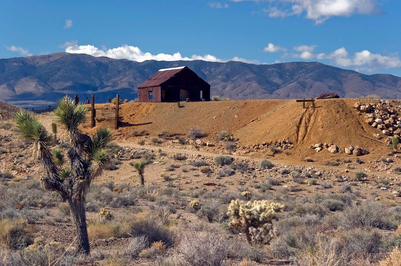 Fossil Hunting And Ghost Town Exploration Nearby
