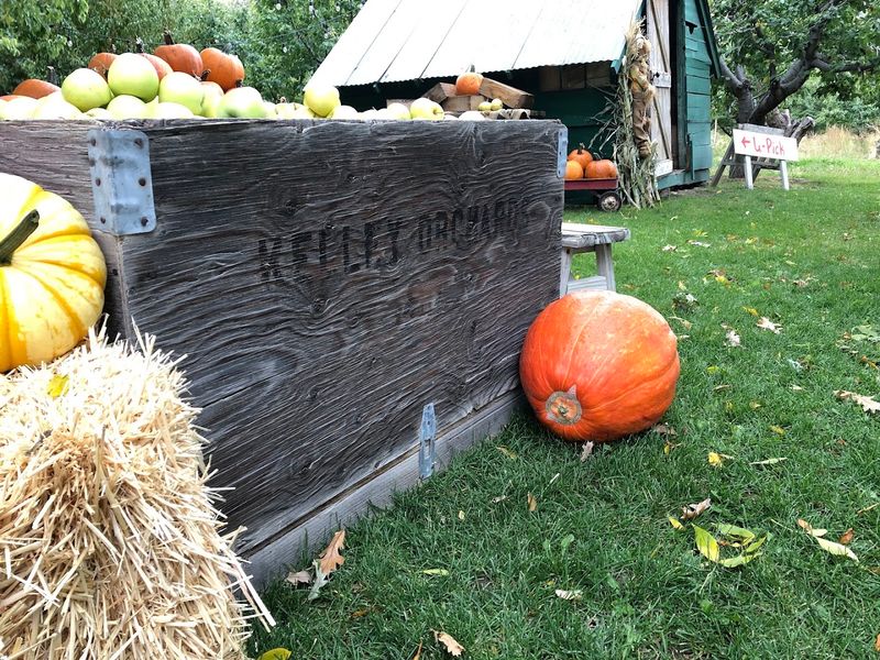 Idaho Recognized The Property As An Official Century Farm