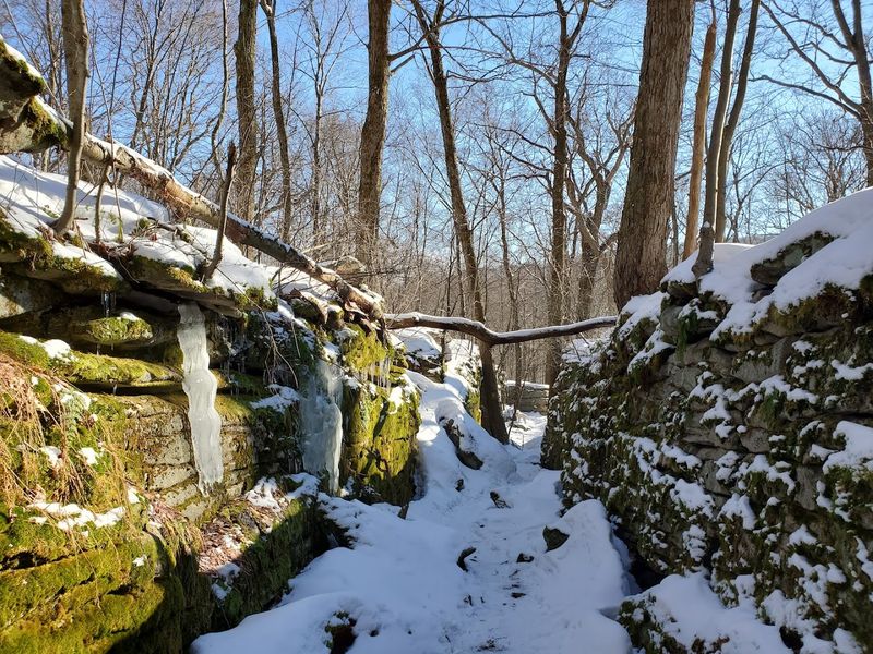 High Ridges Reveal Sweeping Views Of The Youghiogheny River