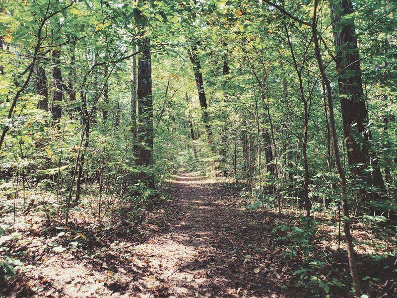 The River Bluff Trail Passes Prairies Oak Woods And Elevated River Views
