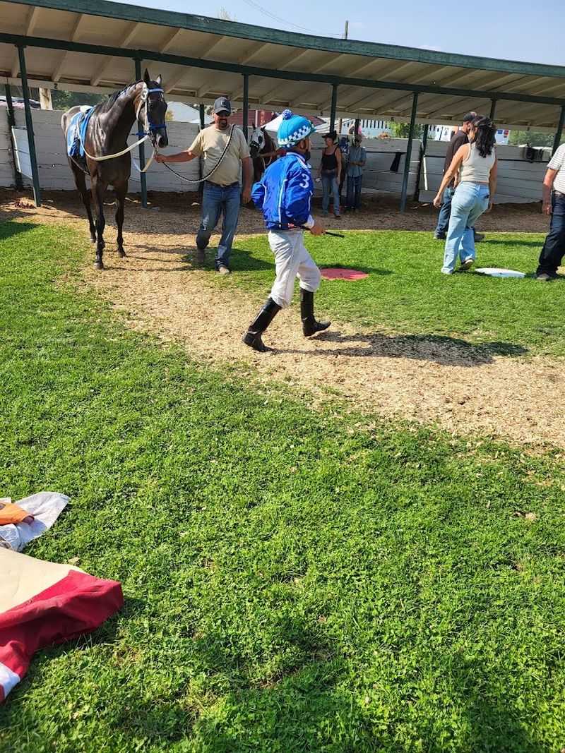 4-H And Junior Livestock, Where Young Ranchers Shine