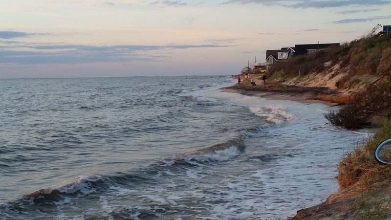 Annual Horseshoe Crab Arrival In May