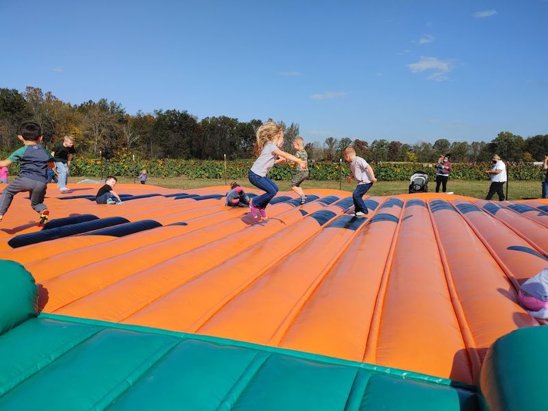 Farm Games And Pedal Races Add Even More Outdoor Fun