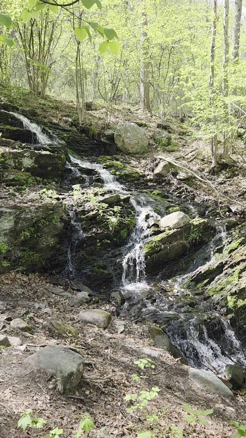 Exploring The Waterfall Loop