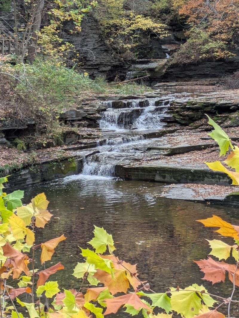 Spring And Autumn Both Make A Strong Case