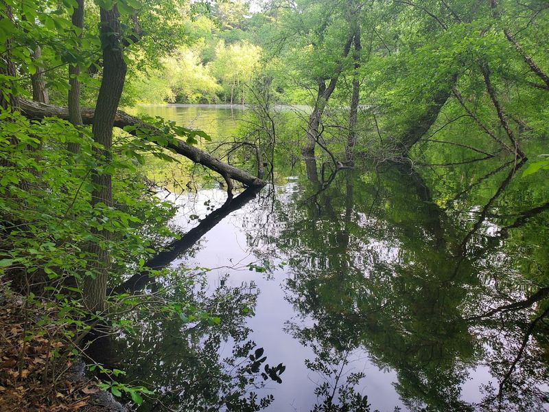 Watch For Wildlife As The Trail Passes Through Wetlands And Woodlands