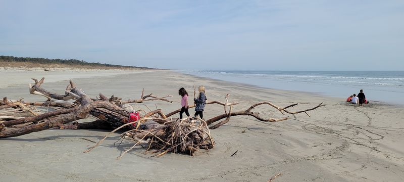 A Beach With No Roads