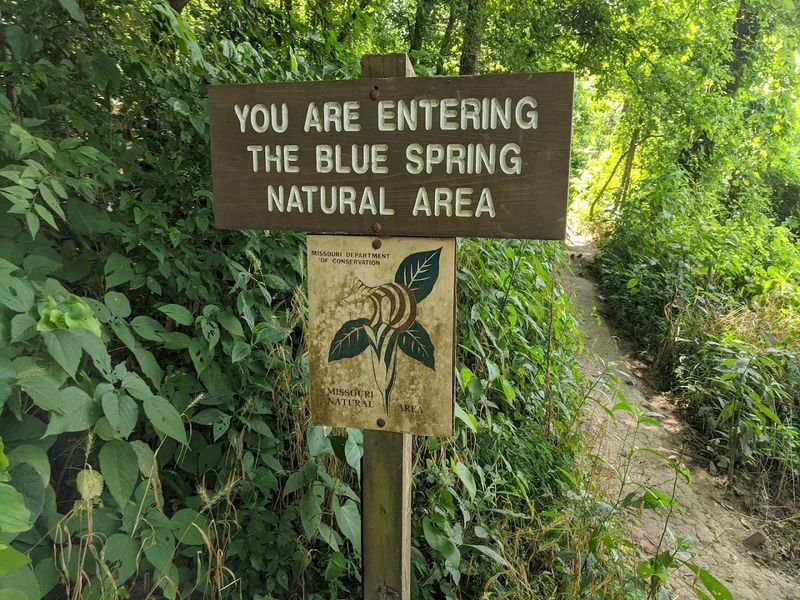 The Short Trail That Feels Like A Reward