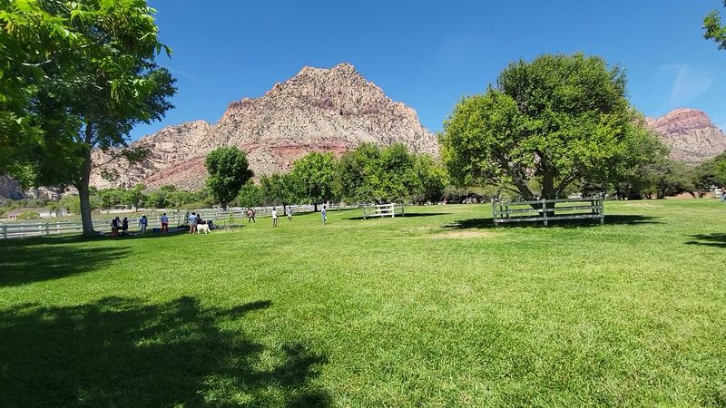 This Peaceful Ranch Sits Just Minutes From Las Vegas Chaos