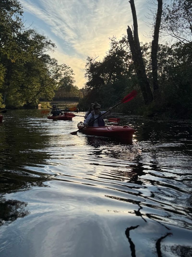 The Allure Of A Waterway's Whisper