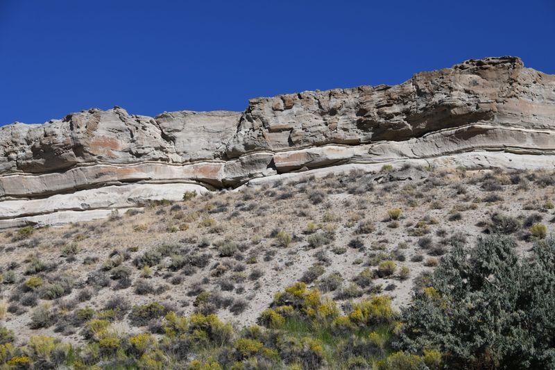 How Millions Of Years Made These Opals Possible