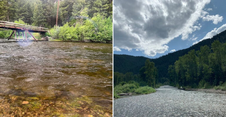 The Remote Montana Trout Stream That Still Feels Completely Untouched By Tourism