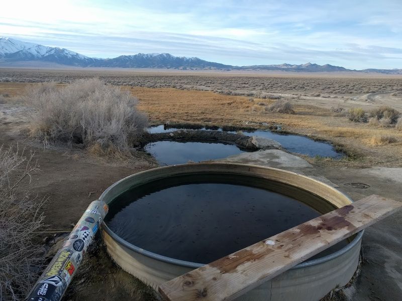 What The Springs Actually Look Like Up Close