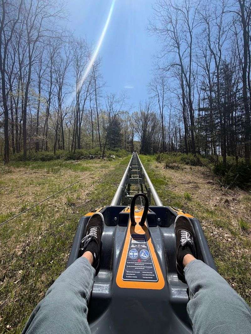 Speed Control Makes It Perfect For Everyone