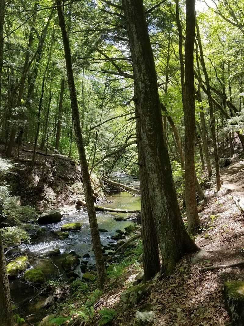 Trails That Actually Reward The Effort