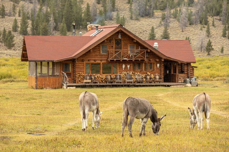 Off-Grid Living Done Right
