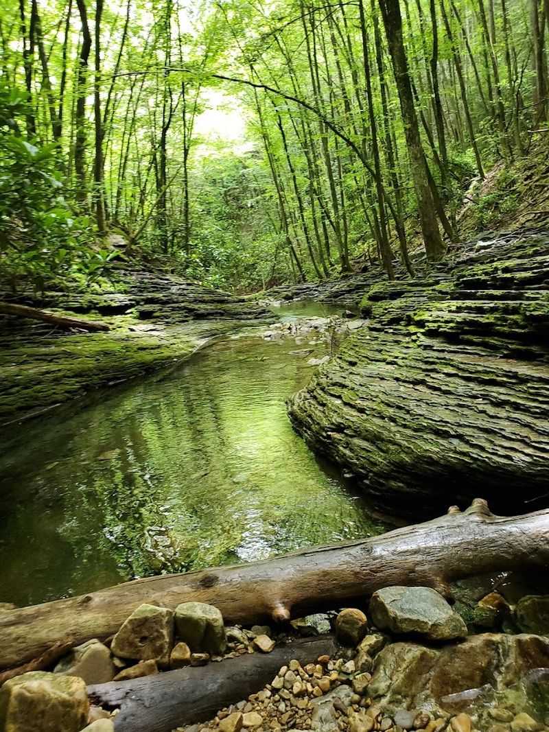 Stream Crossings That Make It Fun