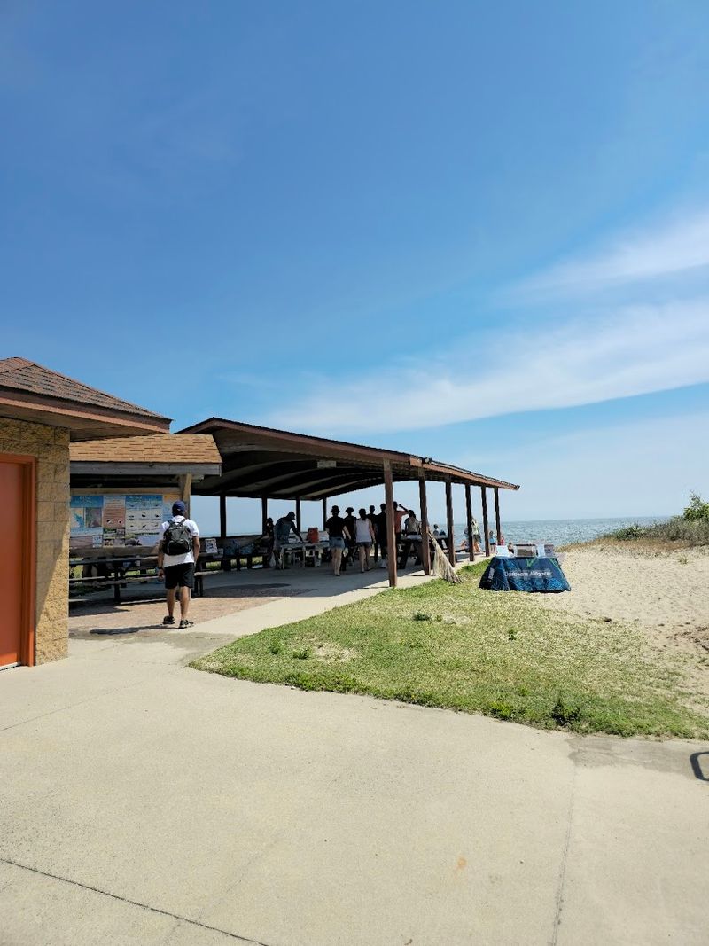 Community Initiatives Promoting Environmental Awareness