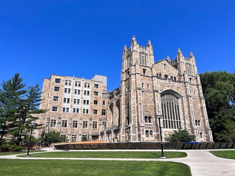How The University Of Michigan Shapes Everything Around It