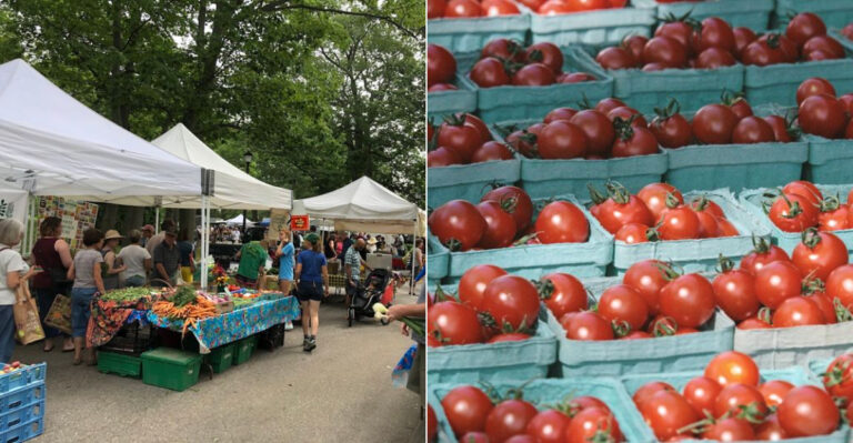 The Saturday Farmers Market In Maine Locals Call The Best In New England