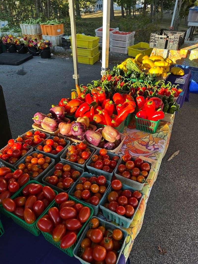 Fresh Produce That Puts Grocery Stores To Shame