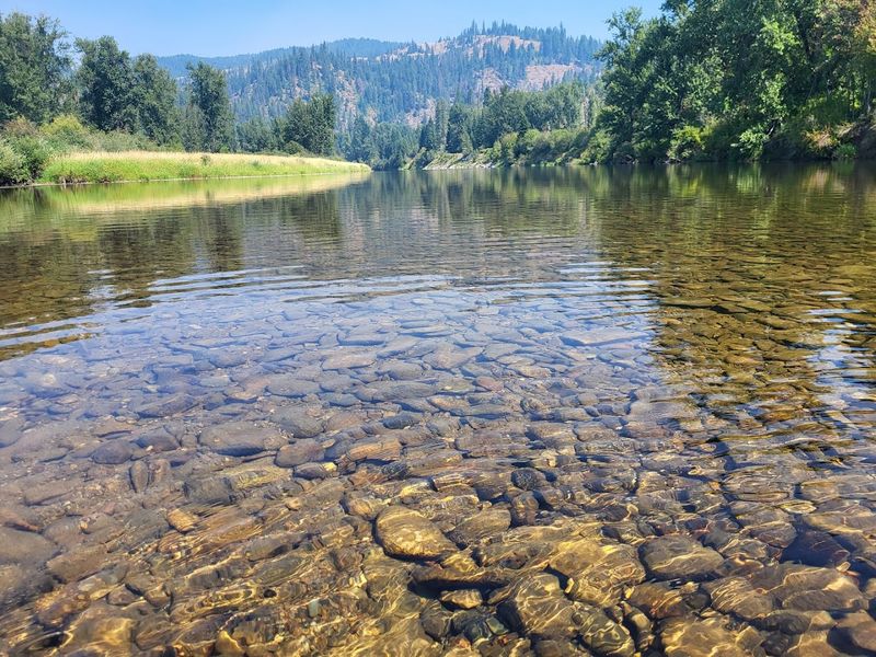 Camping Right On The River