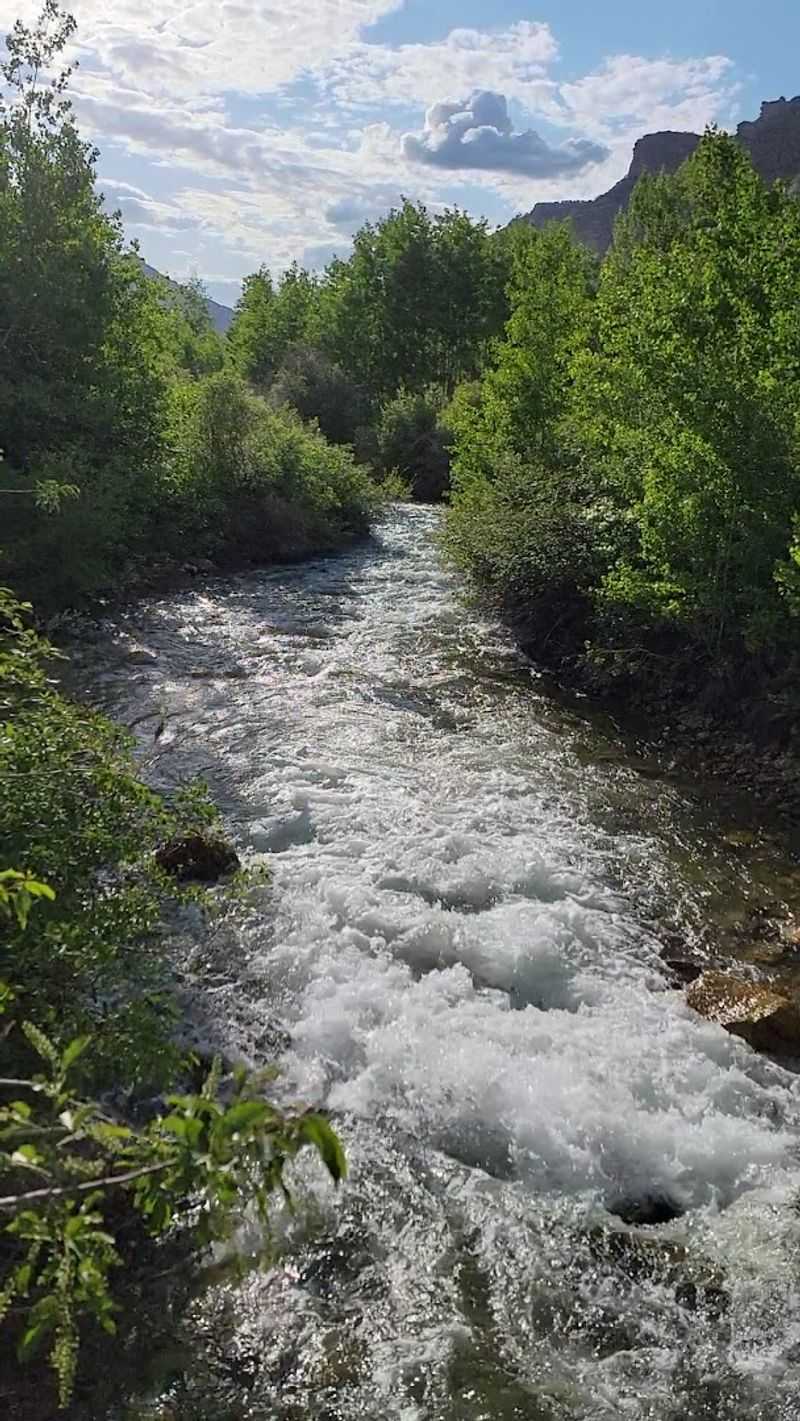 The Creek Experience That Campers Keep Talking About